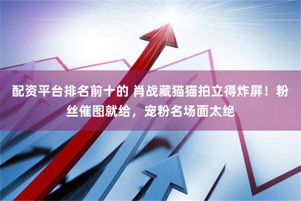 配资平台排名前十的 肖战藏猫猫拍立得炸屏！粉丝催图就给，宠粉名场面太绝