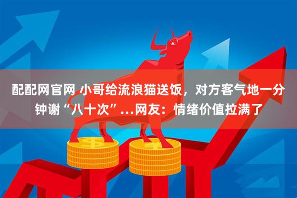 配配网官网 小哥给流浪猫送饭，对方客气地一分钟谢“八十次”…网友：情绪价值拉满了